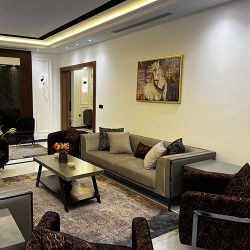 mass diamond project image